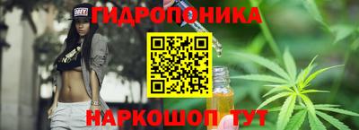 стафф Нальчик