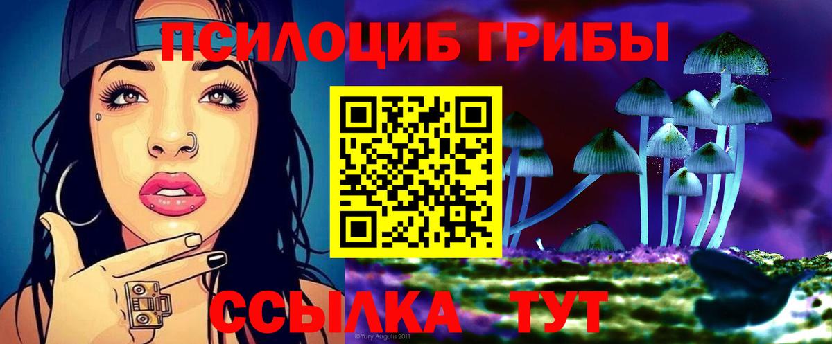 Псилоцибиновые грибы Psilocybine cubensis  Вход с VPN  Скопин 